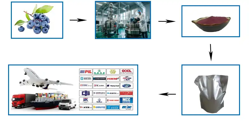 Pure Blueberry Powder factory.jpg